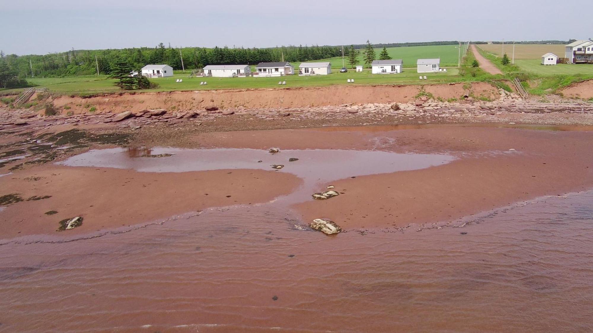 Cottages On Pei-Oceanfront Bedeque Exteriér fotografie